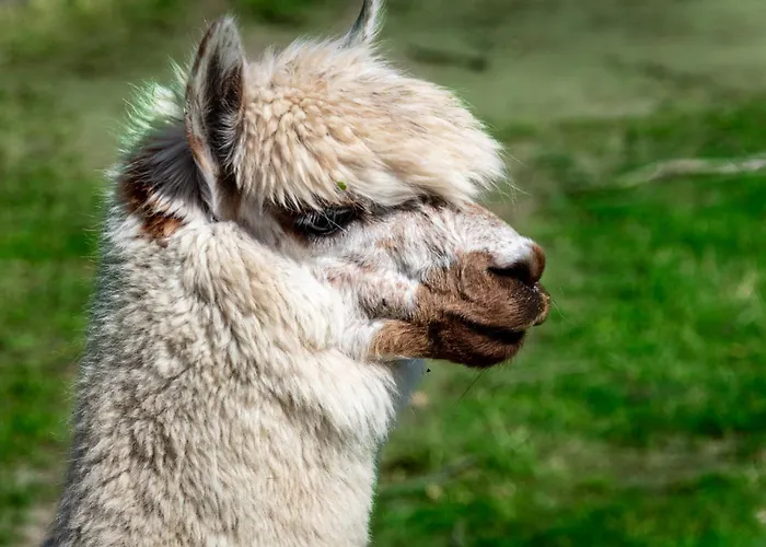 Osterhof Fehmarn - Jala * Dänschendorf